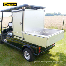 Fertigen Sie das elektrische Golfwagen-Klumpenauto Golfkarren-Gebrauchsfahrzeug des Behälters 2 Sitzer besonders an